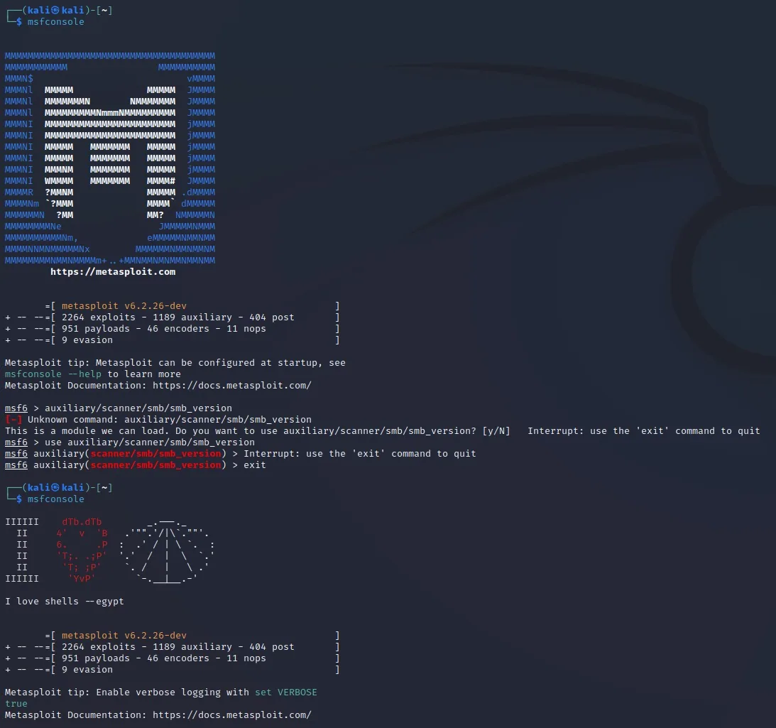 Illustration 2 — Hacker un serveur Samba avec metasploit - Exploit sur Metasploitable