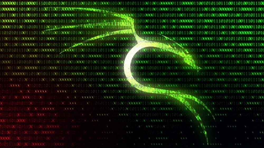 Illustration 1 — Kali Linux
