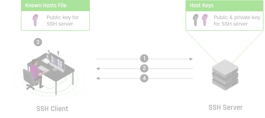 Illustration 2 — Accès à distance sécurisé avec SSH
