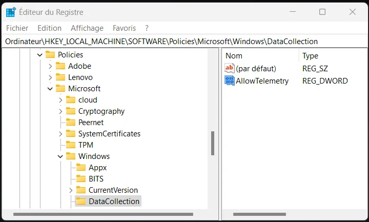Illustration 5 — Comment désactiver la collecte de données intrusive et excessive sur Windows