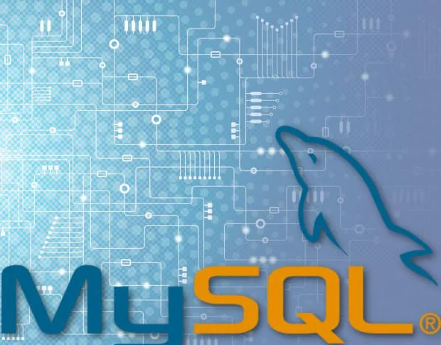 Illustration 1 — Comment créer un nouvel utilisateur et octroyer des autorisations dans MySQL