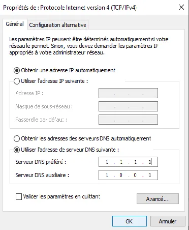 Illustration 6 — Comment changer DNS sur Windows